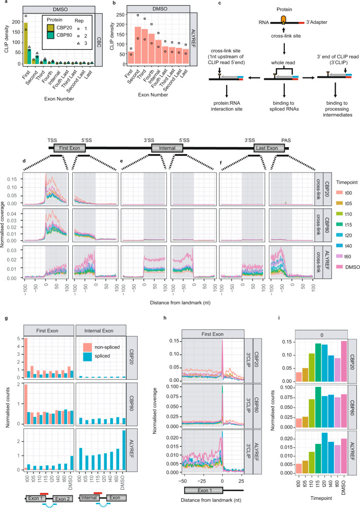 PMC9908952 – Fig3