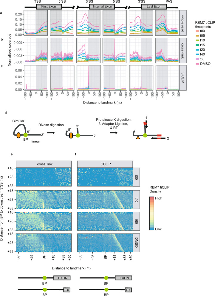 PMC9908952 – Fig5