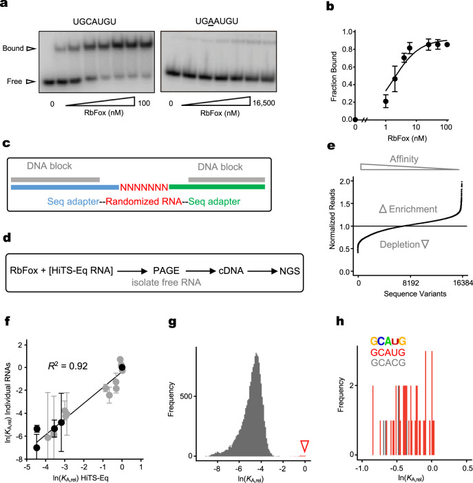 PMC9911399 – Fig1