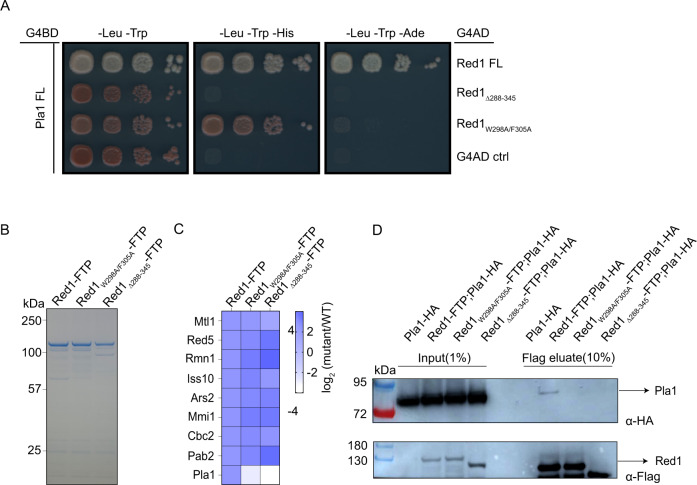 PMC9922296 – Fig4