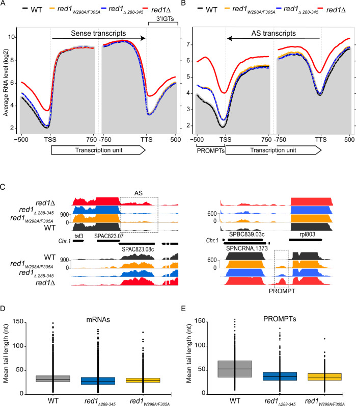 PMC9922296 – Fig5