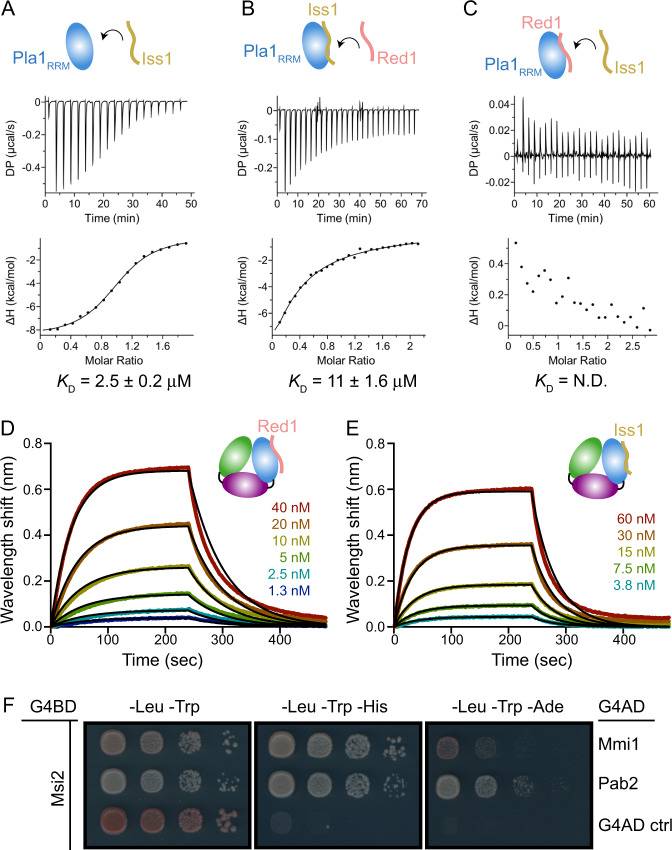 PMC9922296 – Fig6
