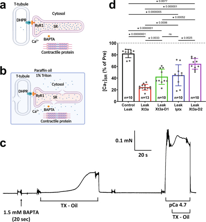 PMC9950431 – Fig4