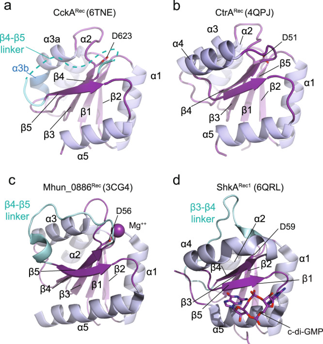 PMC9981736 – Fig2