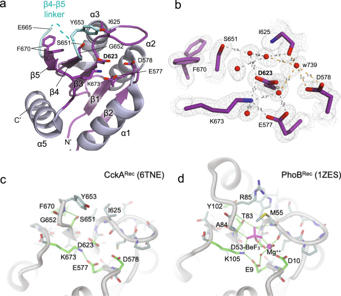 PMC9981736 – Fig3