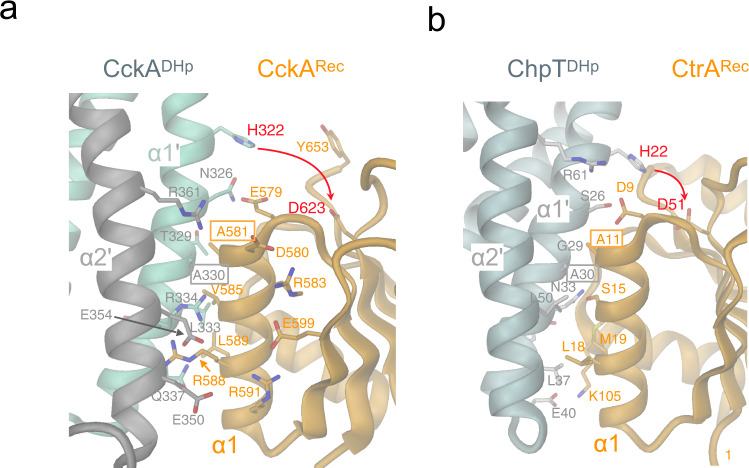 PMC9981736 – Fig5