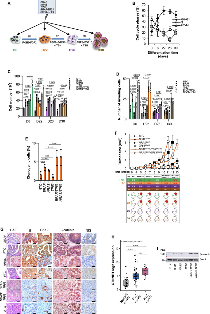 PMC10008571 – Fig1