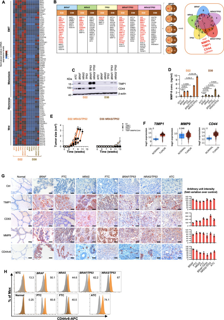 PMC10008571 – Fig2