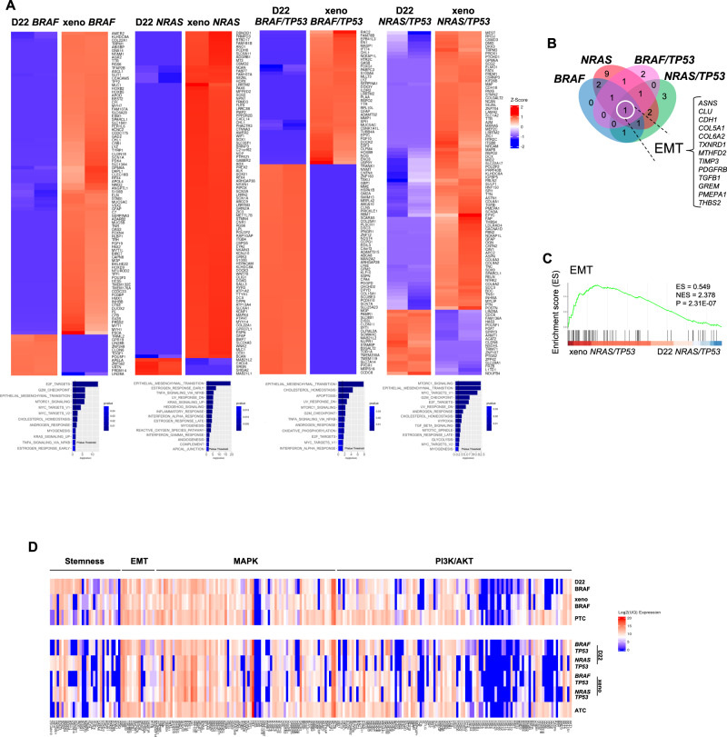 PMC10008571 – Fig4