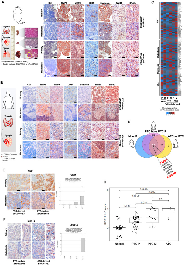 PMC10008571 – Fig5