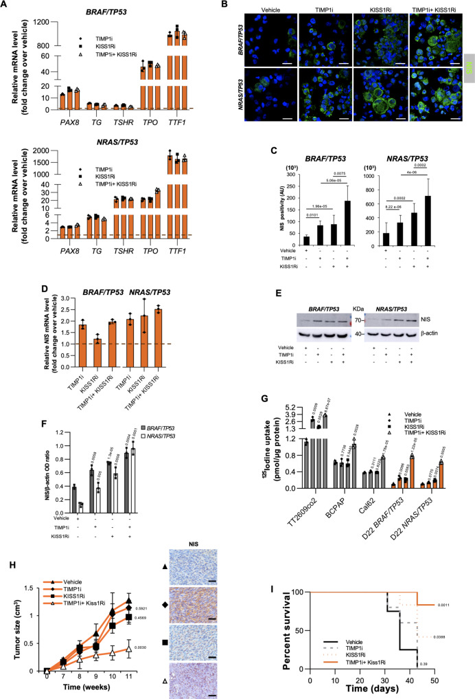 PMC10008571 – Fig6