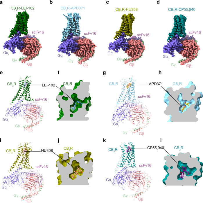 PMC10017709 – Fig2
