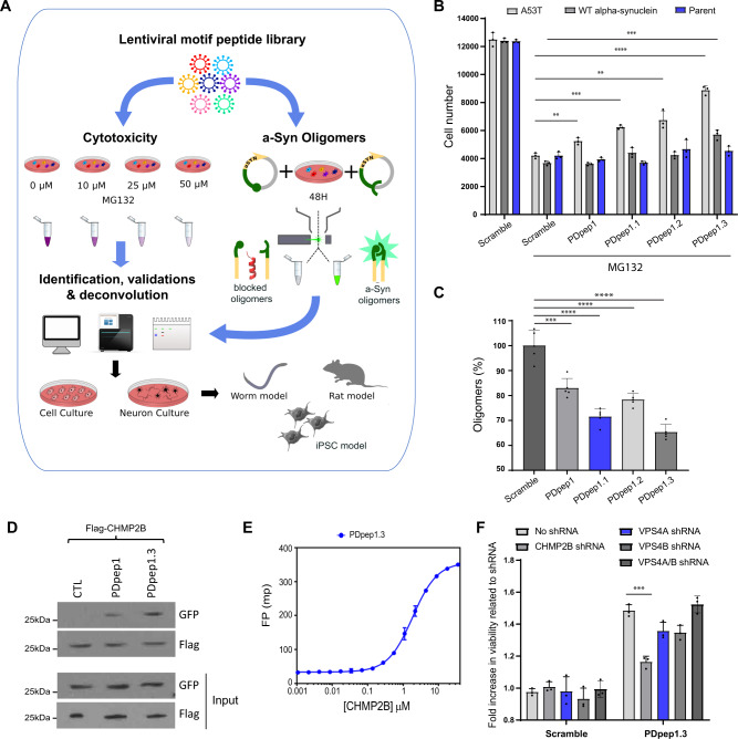 PMC10115881 – Fig1