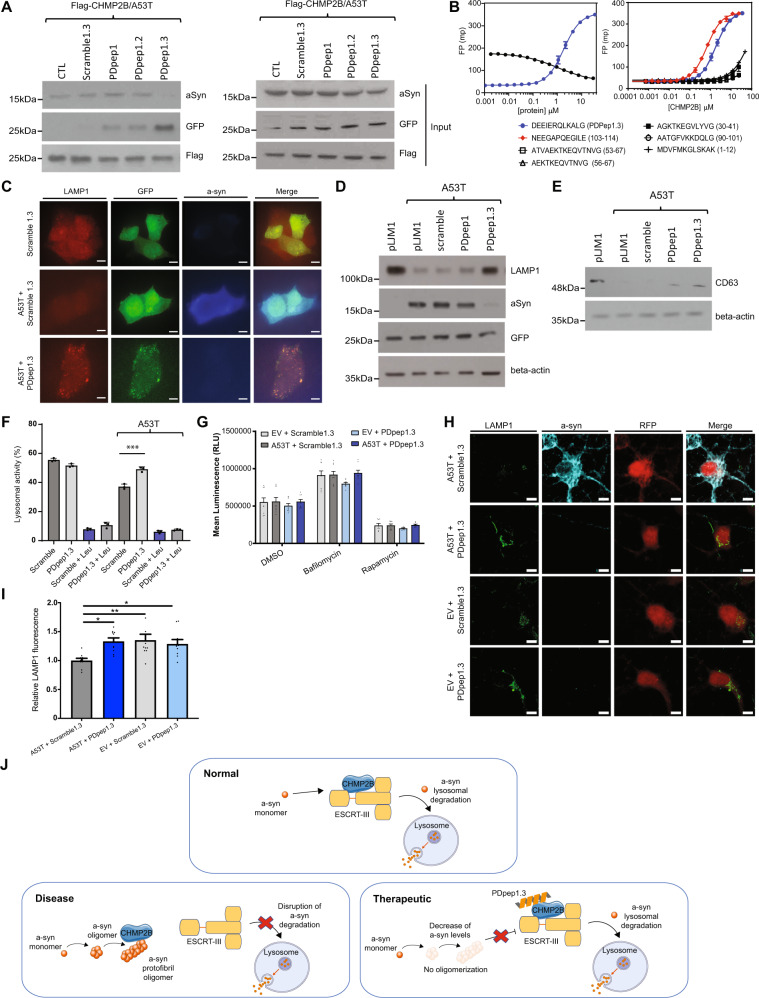 PMC10115881 – Fig3