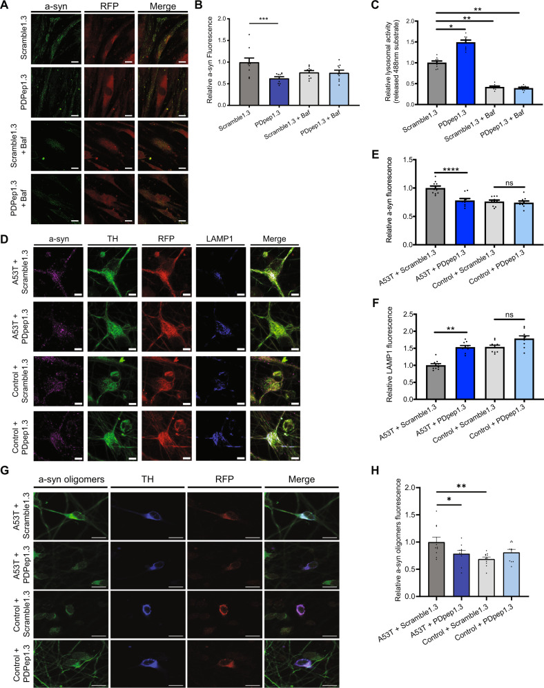 PMC10115881 – Fig6