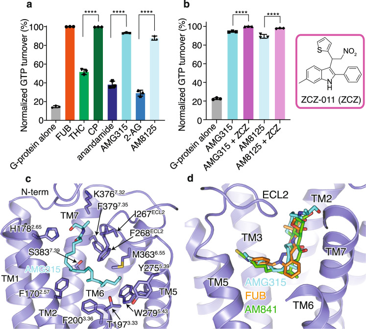 PMC10169858 – Fig2