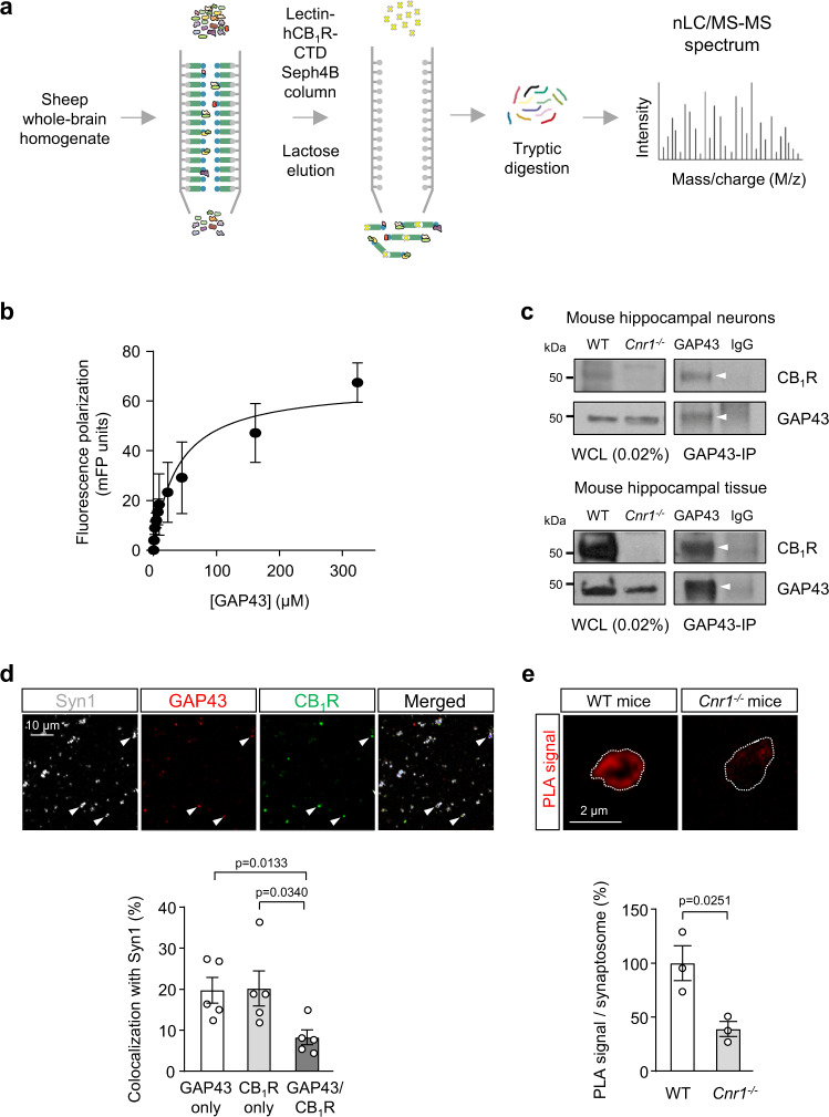 PMC10121561 – Fig1