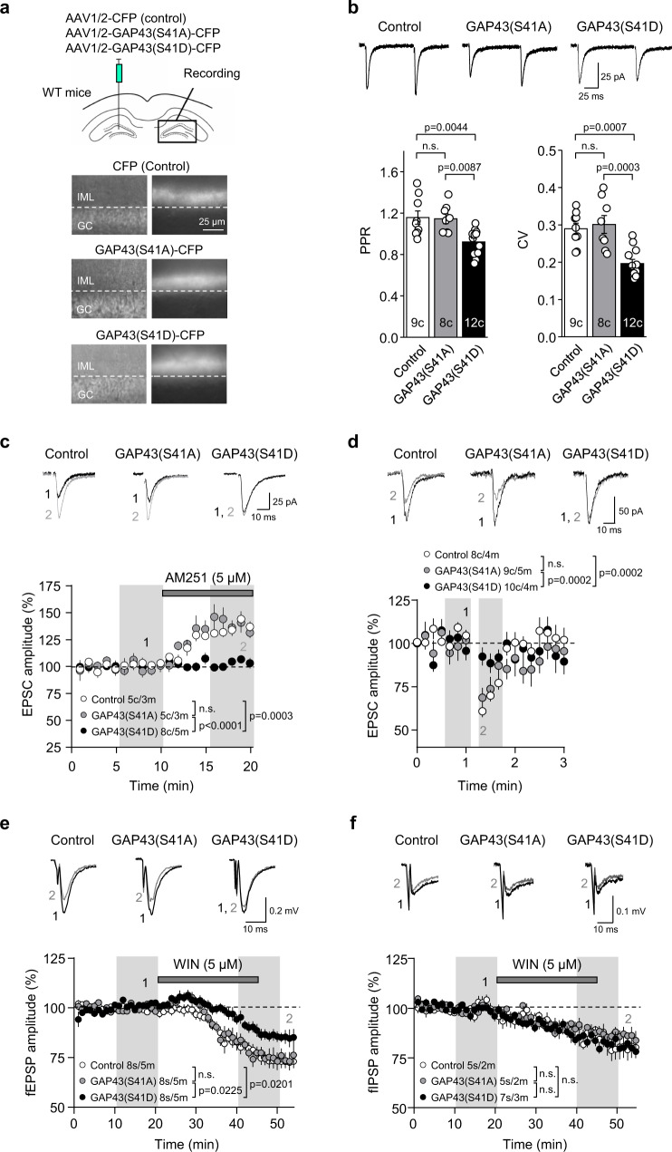 PMC10121561 – Fig4