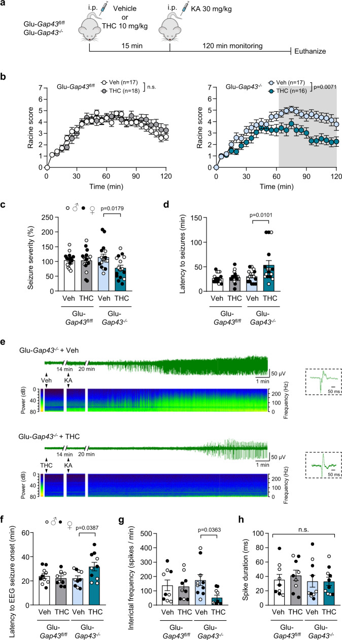 PMC10121561 – Fig6