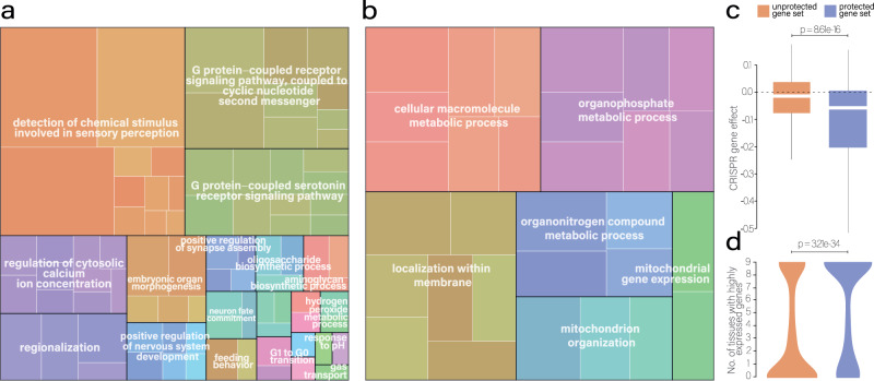 PMC10276008 – Fig5