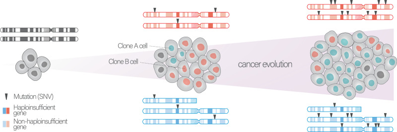 PMC10276008 – Fig6