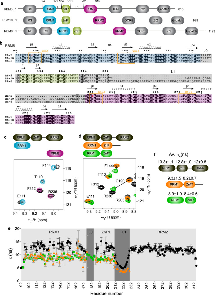 PMC10349855 – Fig1
