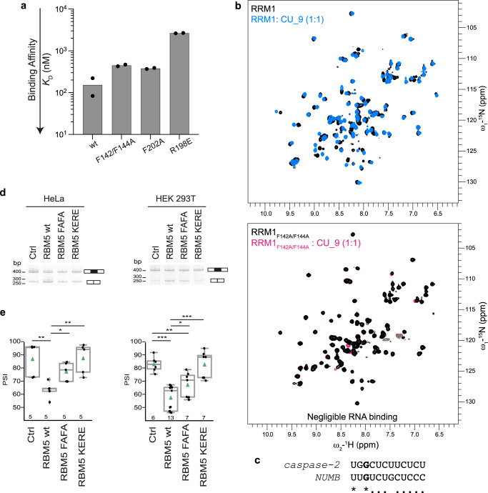 PMC10349855 – Fig4