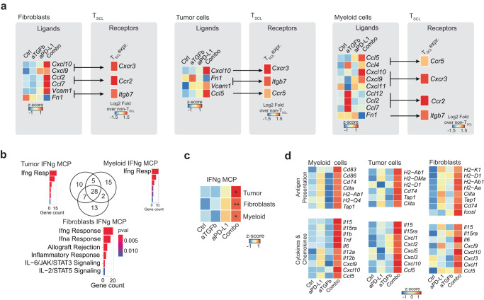 PMC10404279 – Fig5