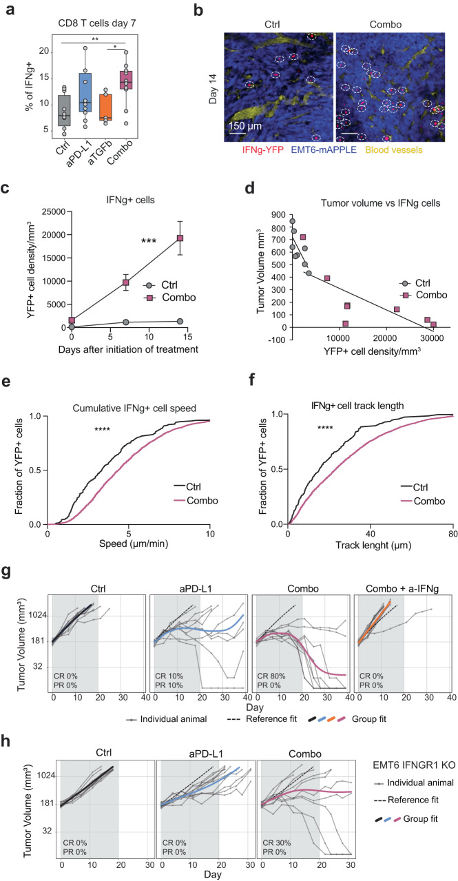 PMC10404279 – Fig6