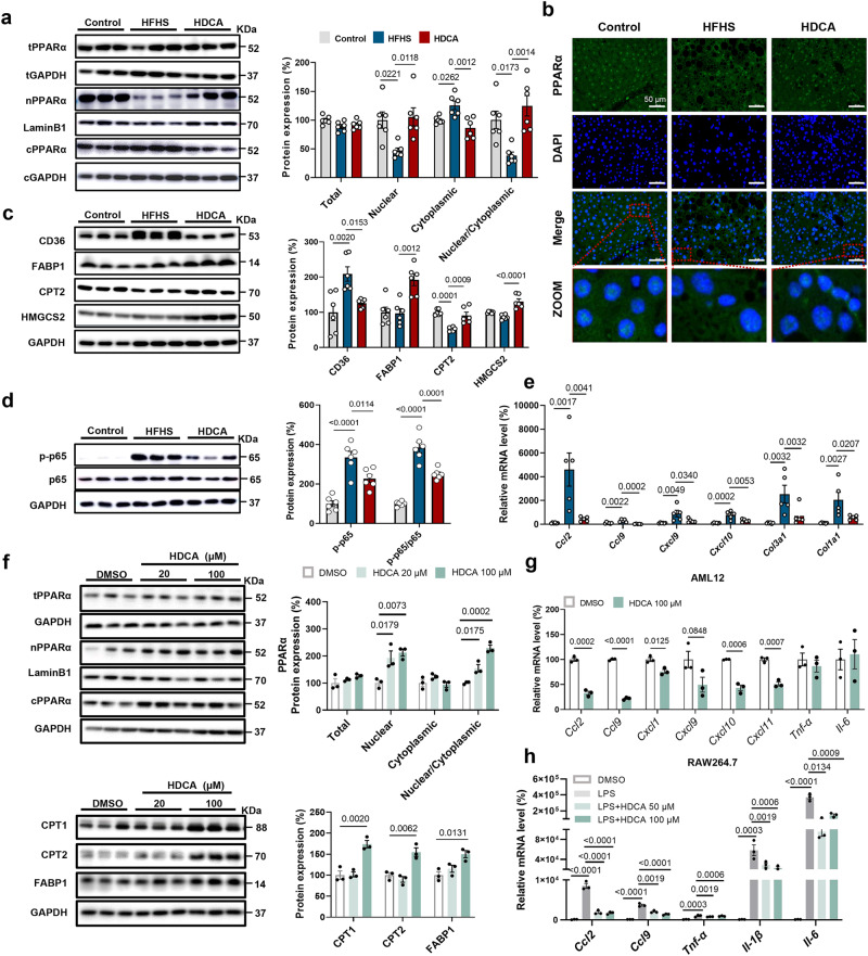 PMC10482907 – Fig4