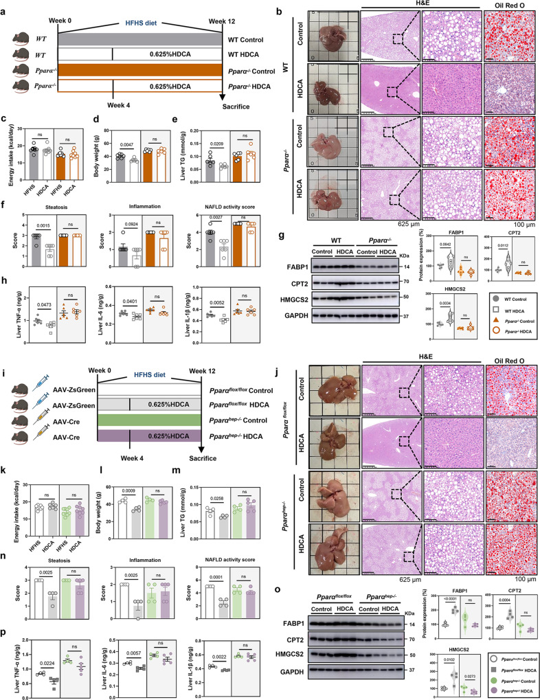 PMC10482907 – Fig5