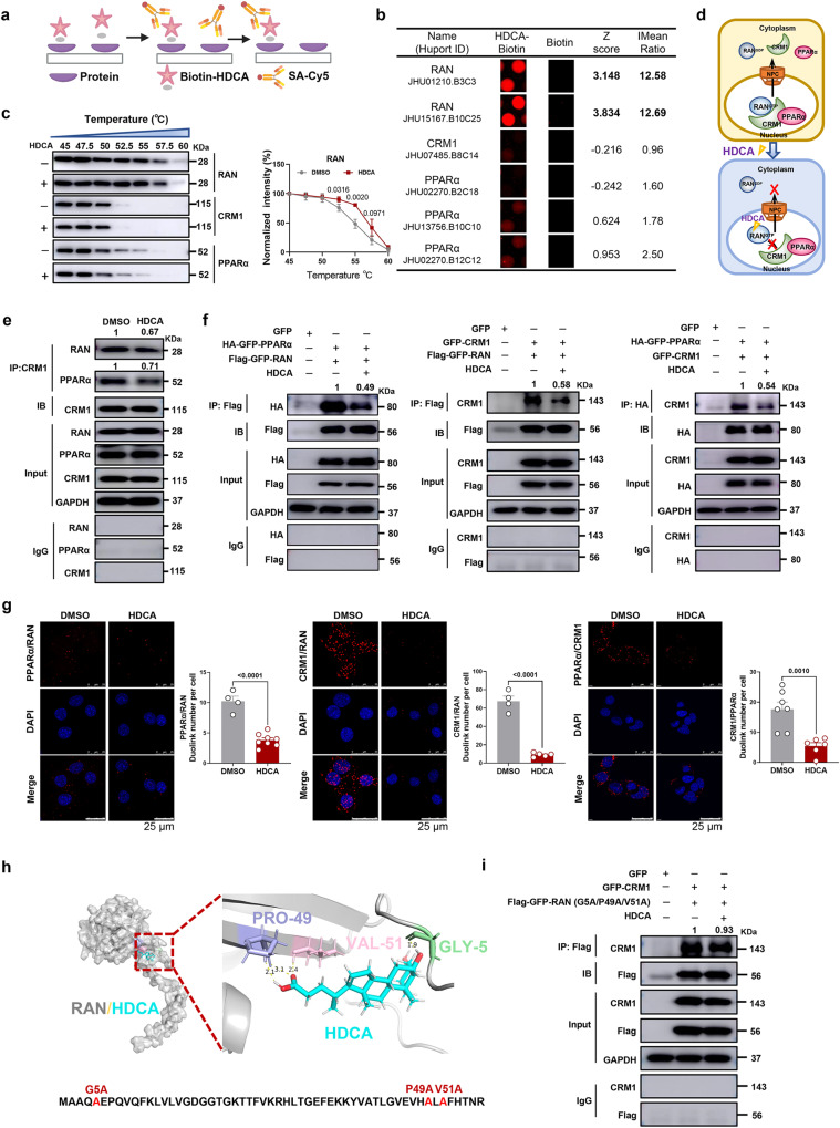 PMC10482907 – Fig7