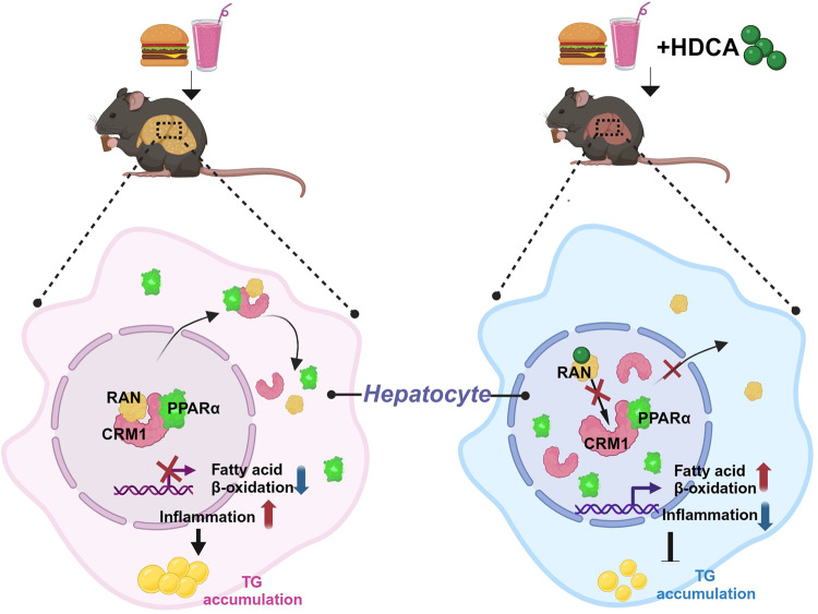 PMC10482907 – Fig8