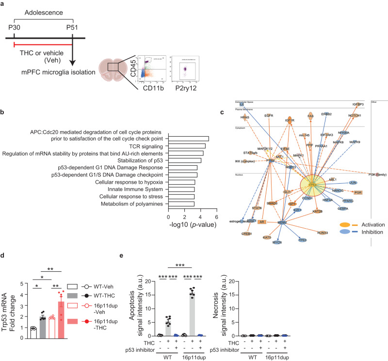 PMC10600150 – Fig4