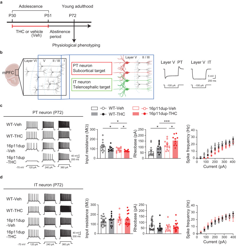 PMC10600150 – Fig6