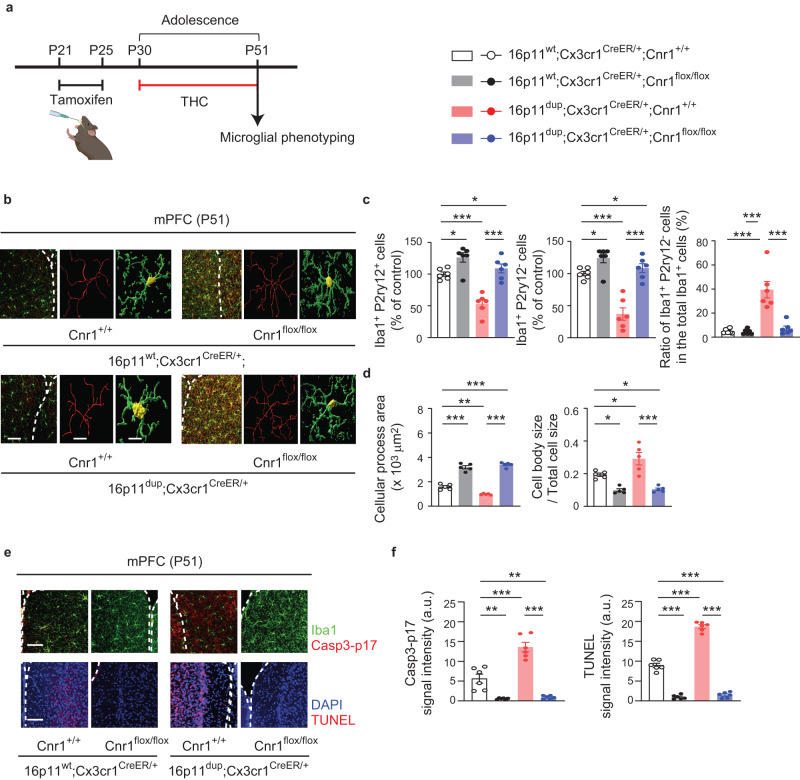 PMC10600150 – Fig7