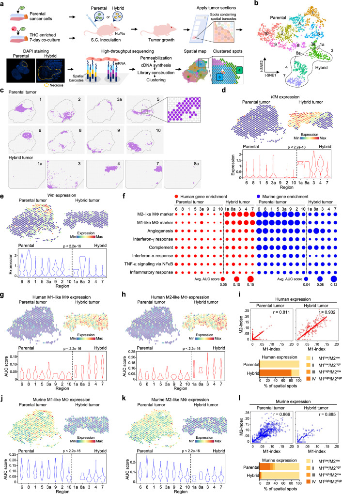 PMC10582093 – Fig2