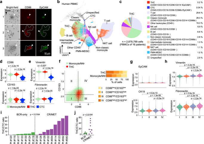 PMC10582093 – Fig8
