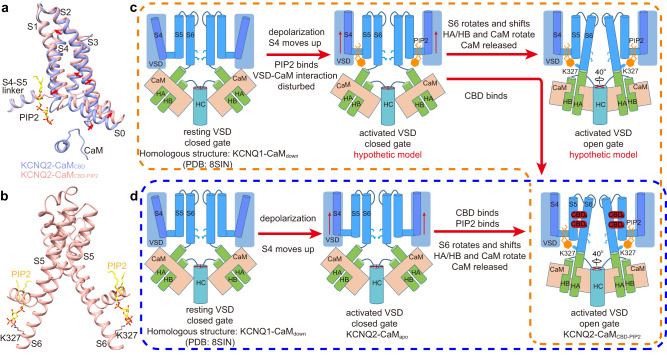 PMC10587151 – Fig3