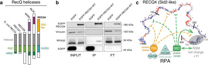 PMC10598209 – Fig1