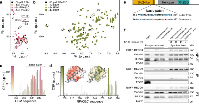 PMC10598209 – Fig2
