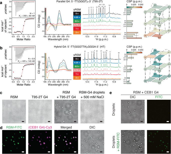 PMC10598209 – Fig5
