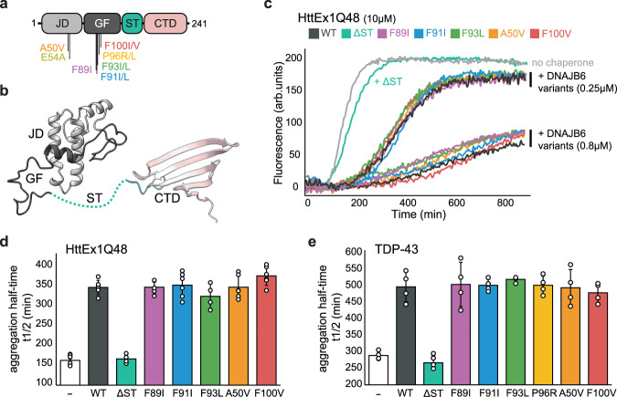 PMC10624832 – Fig1