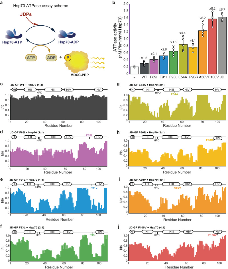 PMC10624832 – Fig4