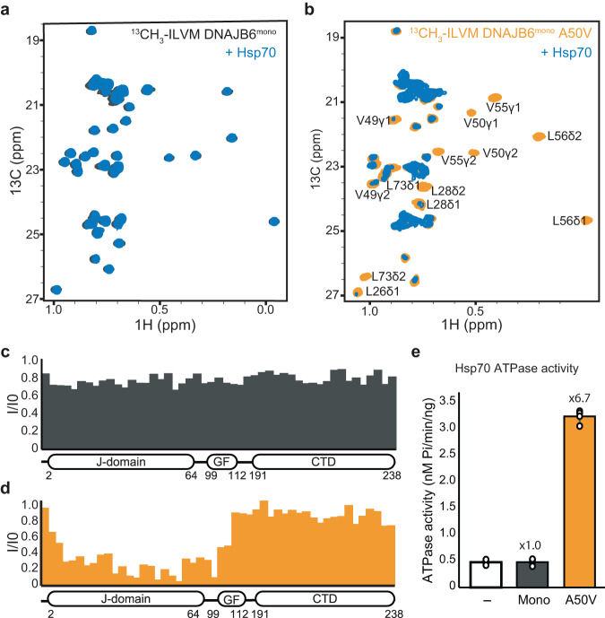 PMC10624832 – Fig5