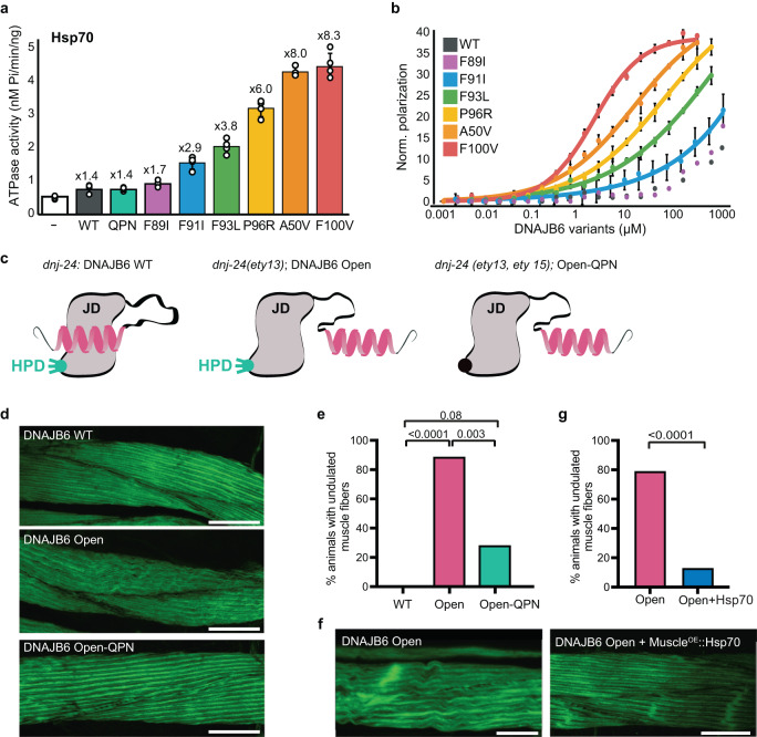 PMC10624832 – Fig6