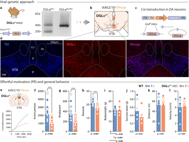 PMC10662422 – Fig1