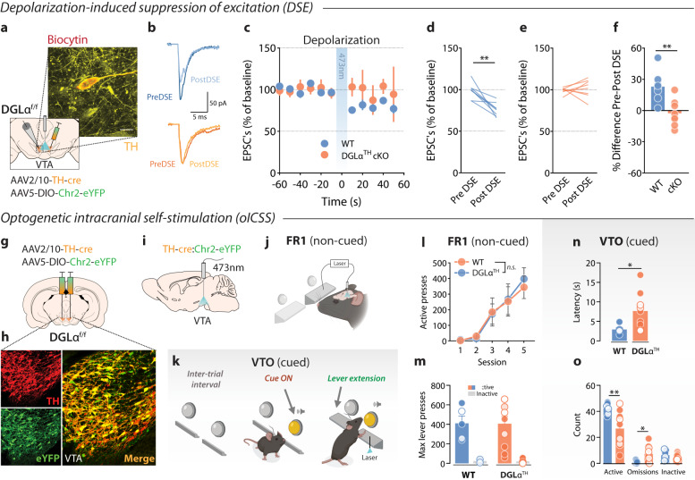 PMC10662422 – Fig3