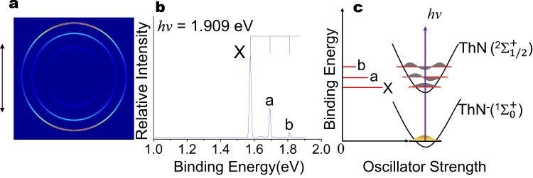 PMC10667236 – Fig2