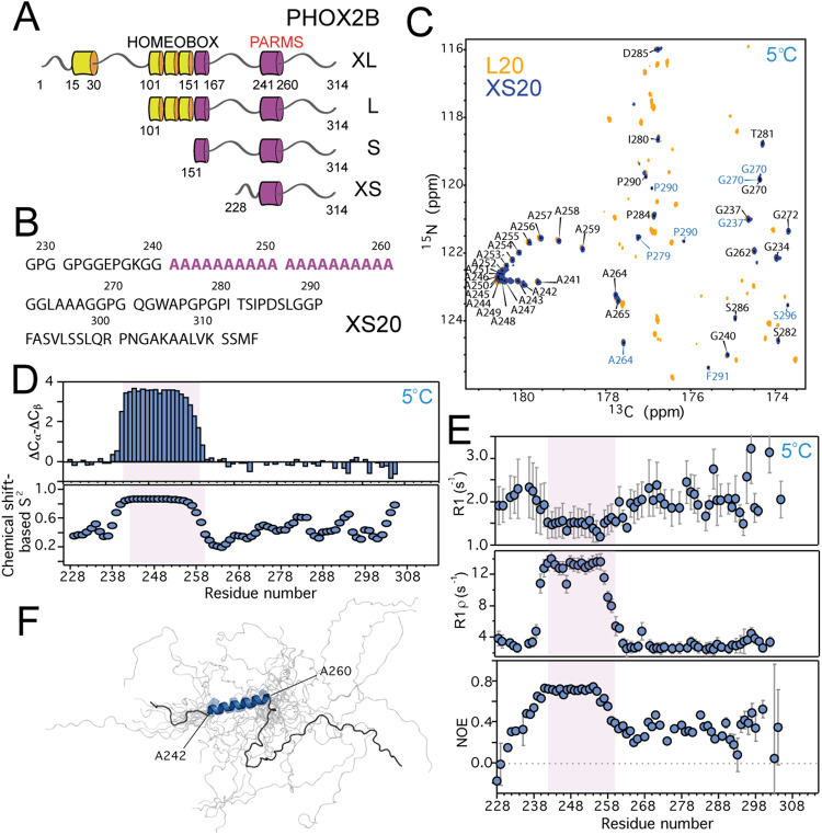 PMC10908835 – Fig1